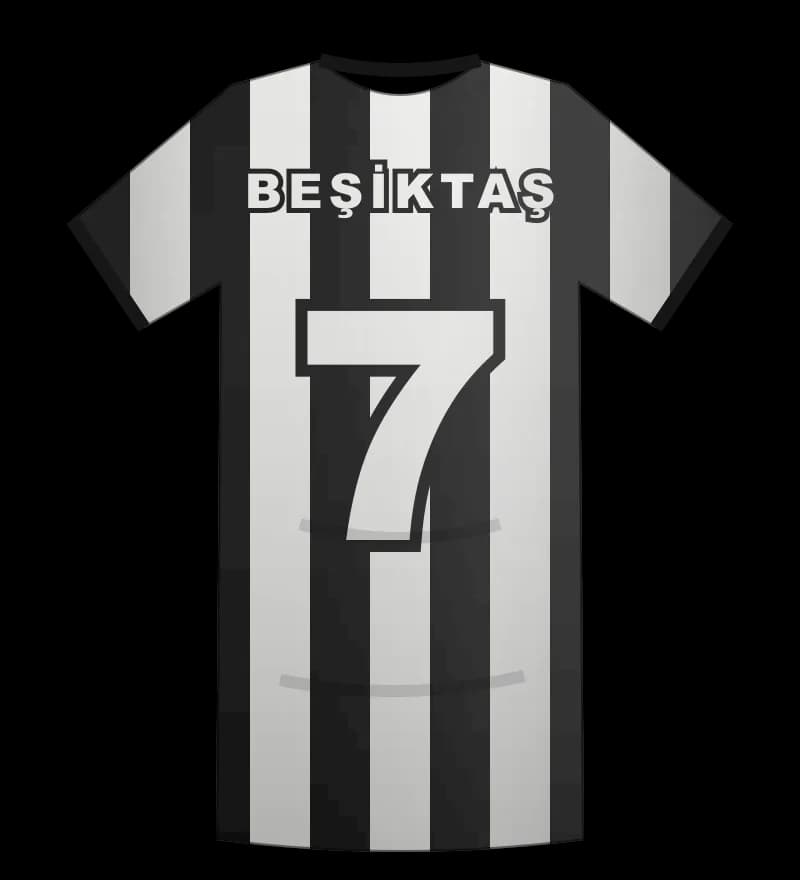 Beşiktaş 2010-2011 Kupa forması arka görünüm, 7 numara