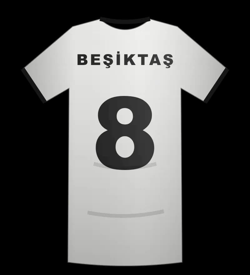 Beşiktaş 2012-2013 UEFA forması arka görünüm, 8 numara